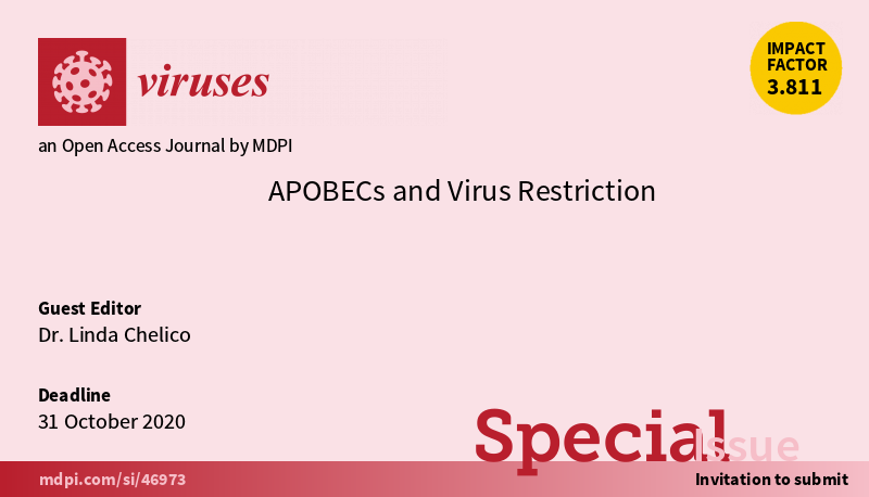 VirusesMDPI's tweet photo. Special Issue "#APOBECs and #Virus #Restriction" is now open for submission, we welcome your contribution till 31 October 2020, #HIV, #retroviruses, #deamination, #mutagenesis, more info: https://t.co/896YpzekGC https://t.co/k8M4Nqg9Bs