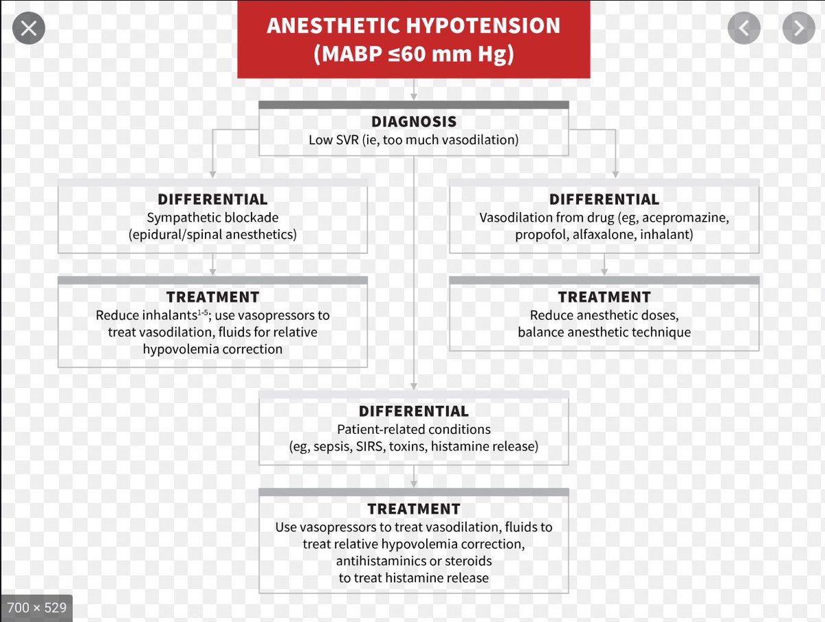 It’s unlikely that anesthetist wasn’t around at that time, my guess the pt. was moving & awake because they thought he’ll collapse if given any drug before they control the bleeding.Just like you prepare everything before you open a pt. for rupture AAAAny anesthetist opinion?