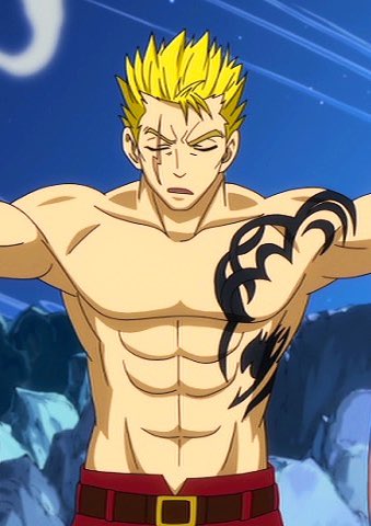 Where would you put your fairy tail emblem?