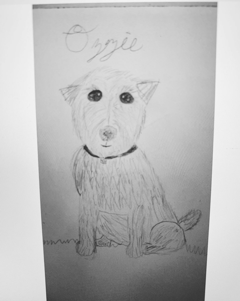 The cutest pet portrait from one of my students e-learning projects! #Wal109 #Engage109