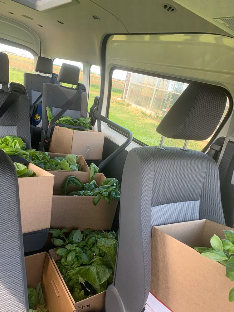 Food Ladder tweet media