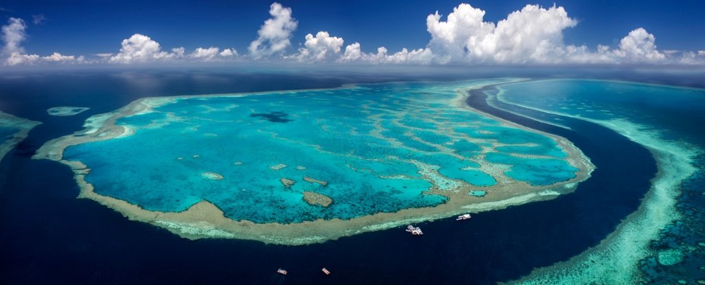 Ambitious 'cloud brightening' experiment has been carried out over Great Barrier Reef to protect coral from global warming. 

#GlobalWarming #CloudBrightening #Reeflife #ReefConservation #CoralSystem

sciencealert.com/cloud-brighten…