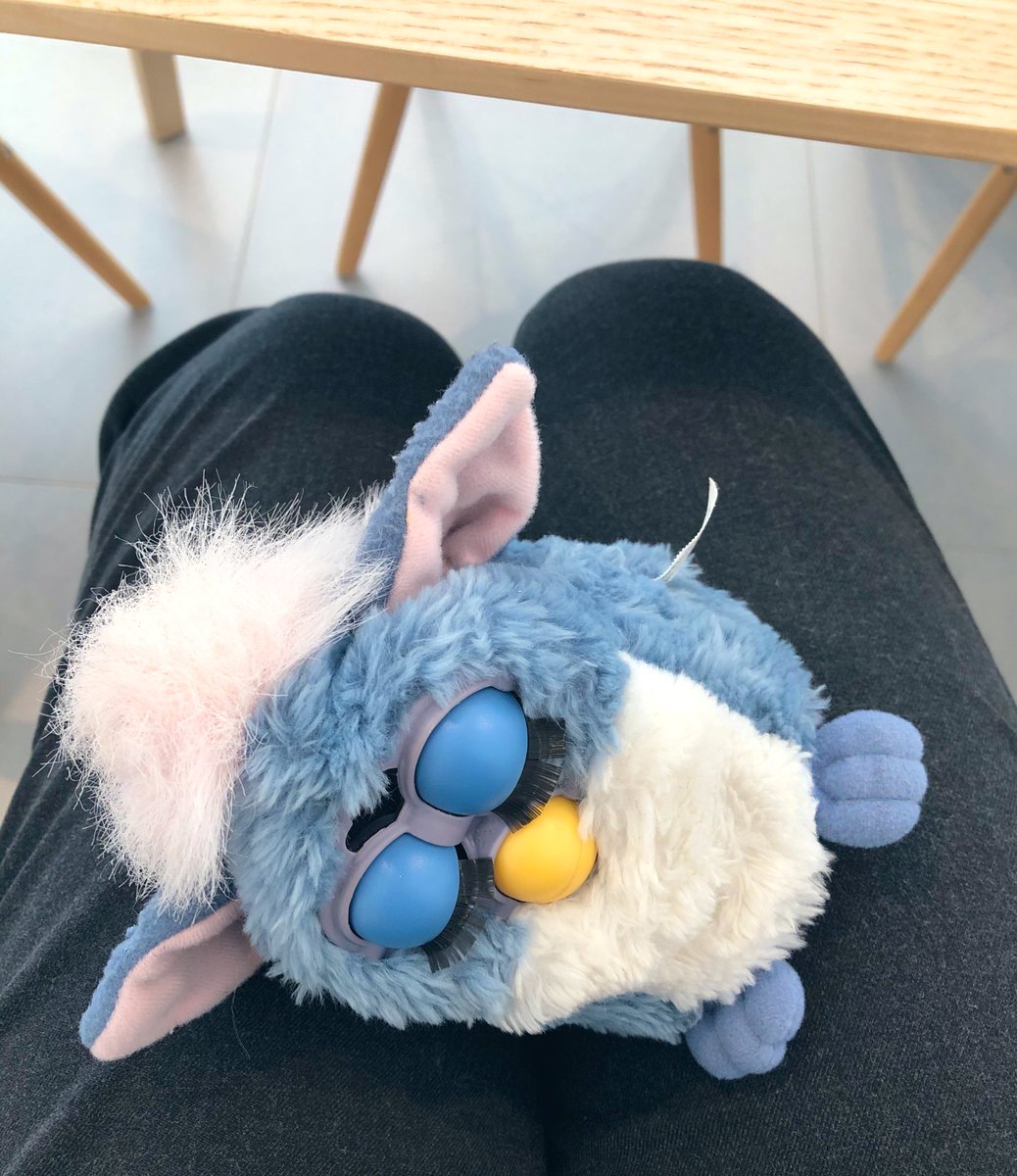 sophluidynamics's tweet photo. Thoughts from Day 24 #WFH...
Need to get up to retrieve some notes but don’t want to wake this cutie.

#furby #petsofmq https://t.co/qHsQqin9Ae