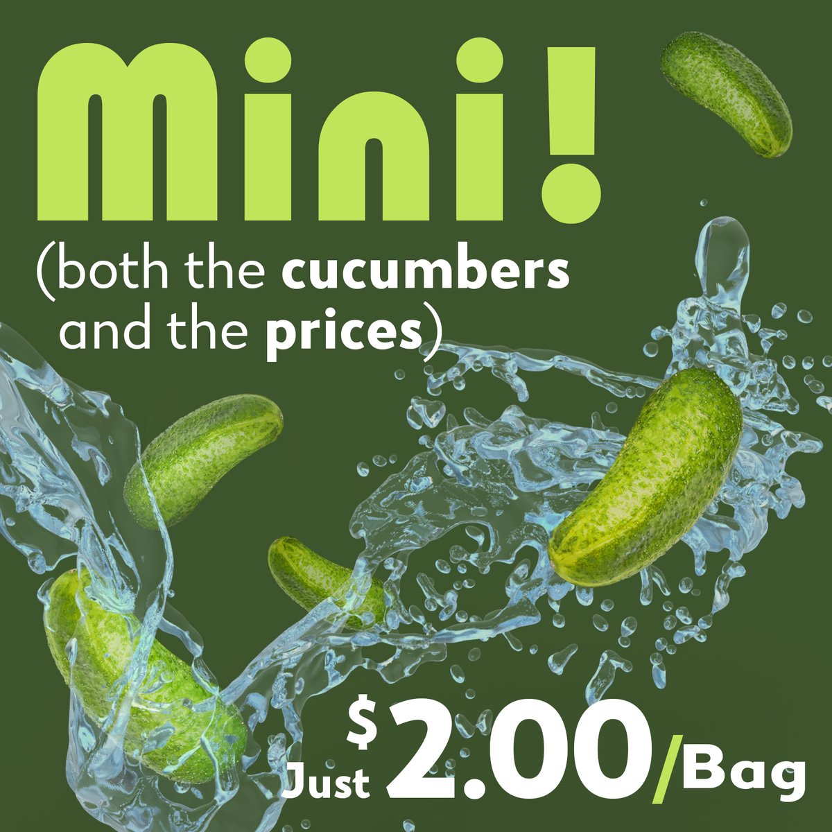 KinsFarmMarket's tweet photo. ⌛ WEEKLY SPECIAL ⌛: It's hard to stay cool as a cucumber when the prices are this hot! Right now, until Sunday, @KinsFarmMarket is featuring Bags of 8 #MiniCucumbers for JUST $2.00! #EatWellStayHealthy #KinsFarmMarket #WeSellFreshness #FreshVegetables https://t.co/Xs5pATO3G8