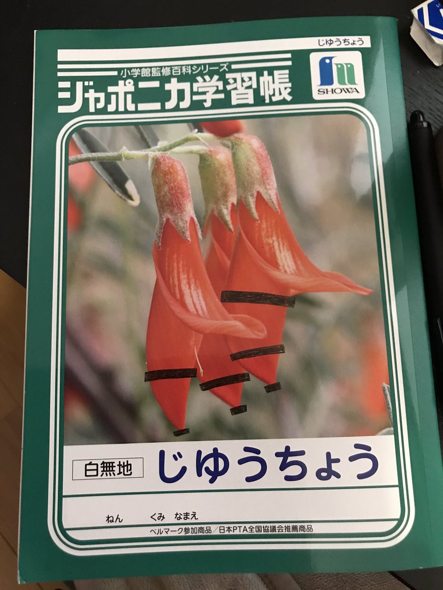 ここ最近の絵の修正を全部同居人にやってもらってたらいつのまにか色んなものに修正してた 