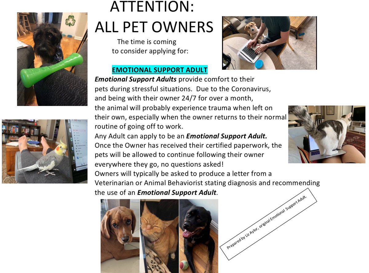 StringTeacher's tweet image. 