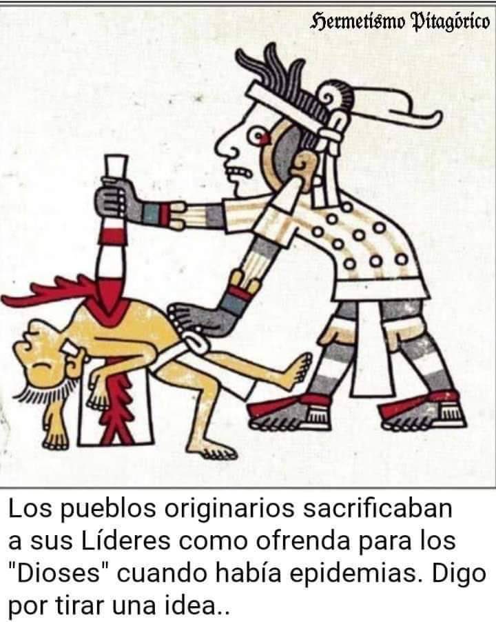Volvamos a la sabiduría ancestral.
