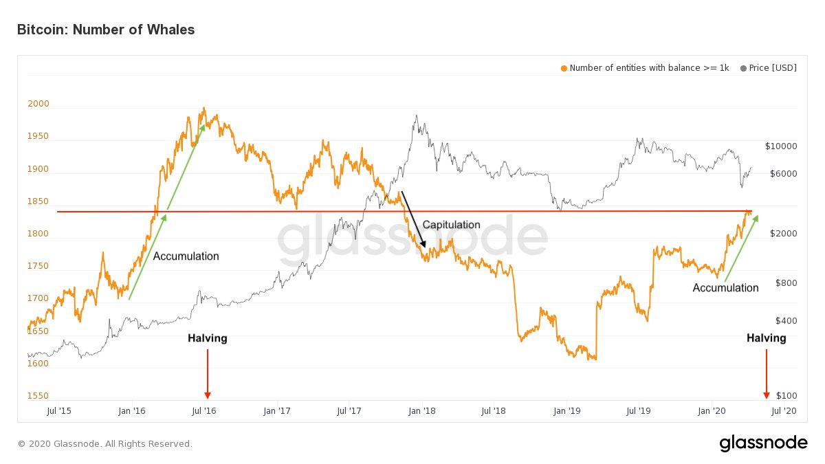 21/  And the view from on-chain is fascinating. @glassnode reports there are now more  $BTC whales than at any time since December 2017.I cannot express how bullish that is.