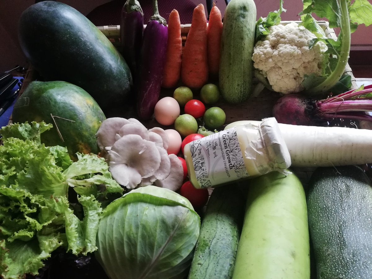 DhakalSaurav's tweet image. ए हजुर अाज को ताजा रंगिन तरकारी !! मौरि घुमेको बारिबाट !!! #SaveBee🐝 #Nepallockdown #LocalFood #EarthDay 
greengrowth.life