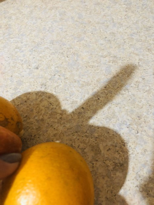 Compr&eacute; muchas naranjas y no pude evitar acordarme de todos ustedes ☺️ #MuchosDiasDeCuarentena https://t<a href="/tag/muchosdiasdecuarentena"class="tags"><span>#muchosdiasdecuarentena</span></a>