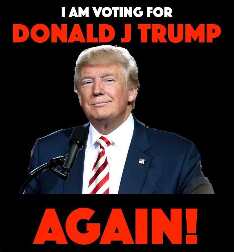 PatriotDanCarr's tweet photo. Can the President @realDonaldTrump count on you to fight liberalism and the socialistic party that is trying to take over our Nation!! #trump2020 #maga https://t.co/L8IXz54bbV