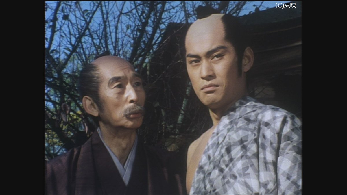吉宗 評判 記 暴れん 坊 将軍 暴れん坊将軍シリーズの登場人物