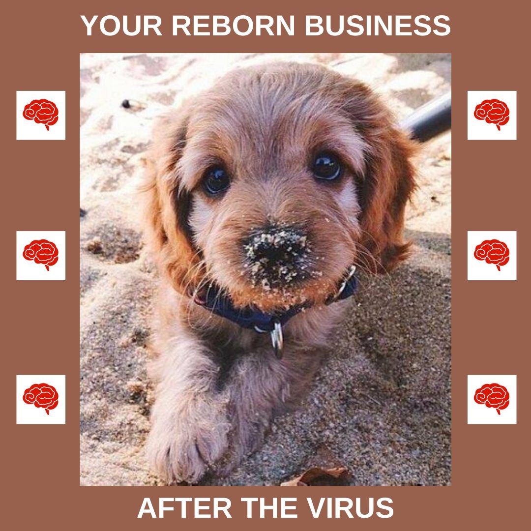 Infiniteprofit2's tweet photo. ๐ท BUSINESS AFTER THE VIRUS ๐ท
FREE consultations that will help you:
https://t.co/J9p2891f83
#InfiniteProfit #InfinityOfProfit #MarketingStrategy #BusinessConsulting #MarketingManager #NamingMarketing #Marketing #iProfit #HowToGrowBusiness #GrowBusiness #SchoolOfMarketing https://t.co/3zC0vZChaN