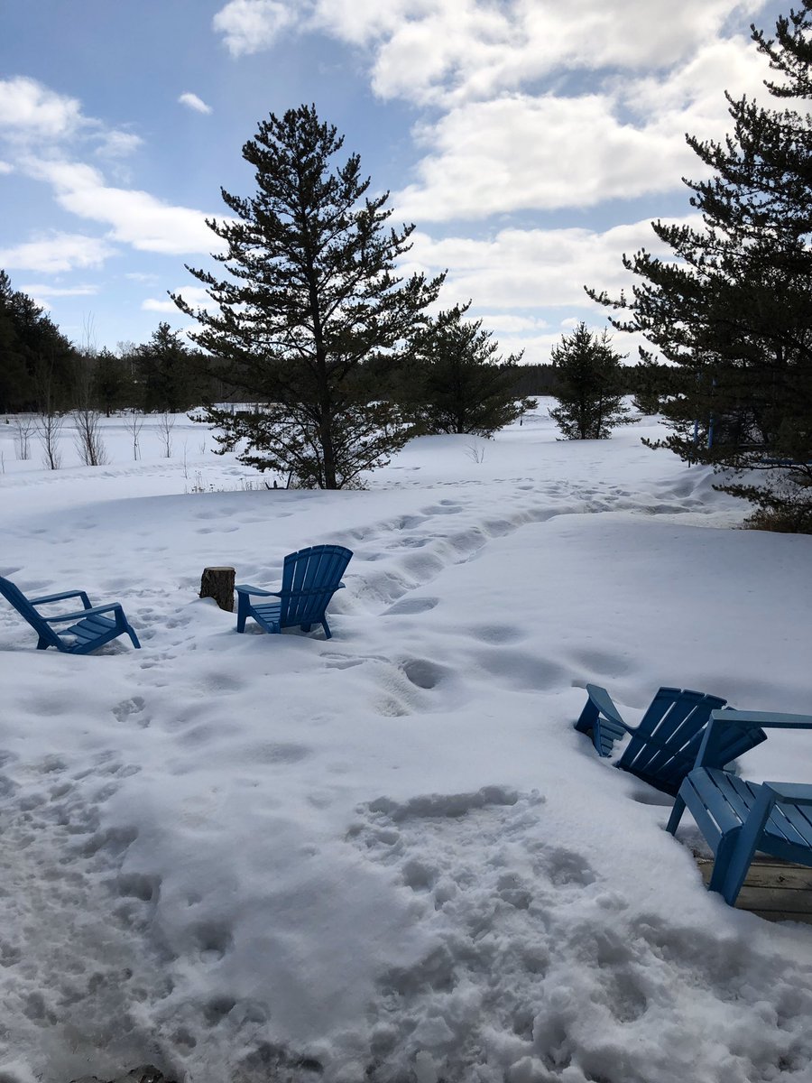 Graham Comfort tweet media