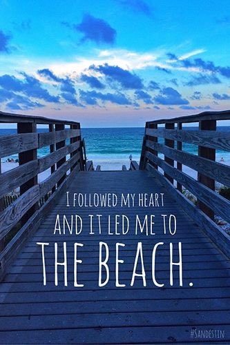Beach Life Of Miami tweet media