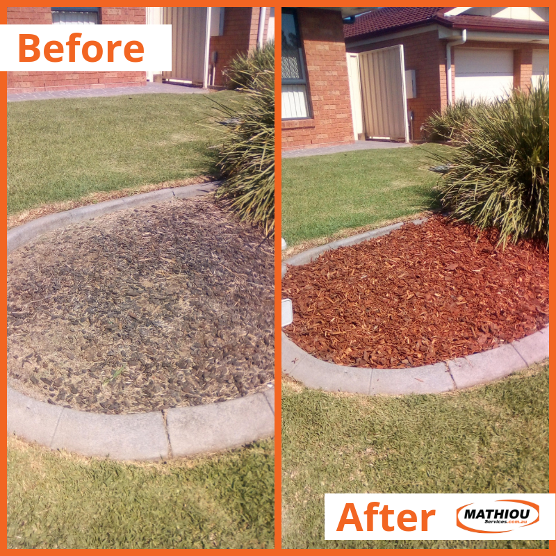 MathiouServices's tweet photo. Mulch top-up anyone? 😀🙌🌳

#MathiouServices #fresh #mulch #gardening #maintenance  #Australiawide https://t.co/EWrTSXtrIq