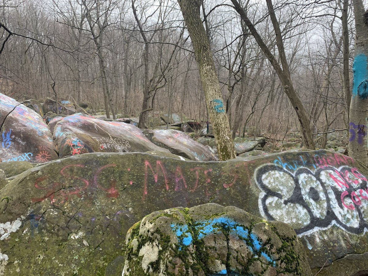 makaylabarnold's tweet photo. Been doing a bunch of social distance hikes lately #lvcsoc https://t.co/0wrM3mkrIA