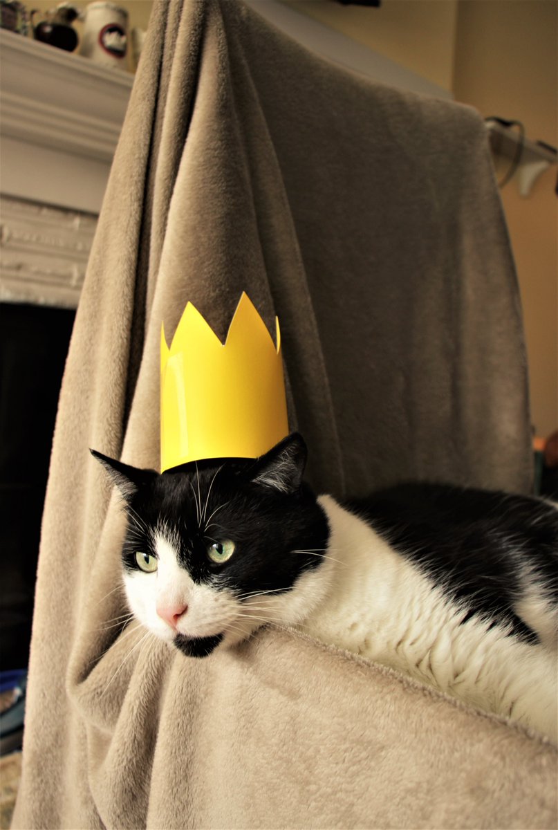 RoadTabby's tweet photo. 🎶Her Majesty's a pretty nice girl, but she doesn't have a lot to say🎶

Inspiration: Her Majesty, Album: Abbey Road, Released: September 26, 1969

#cat #catsoftwitter #ringocat #beatlescats #thebeatles #kingkitty #kingcat #abbeyroad https://t.co/5IYJ9fUJyA