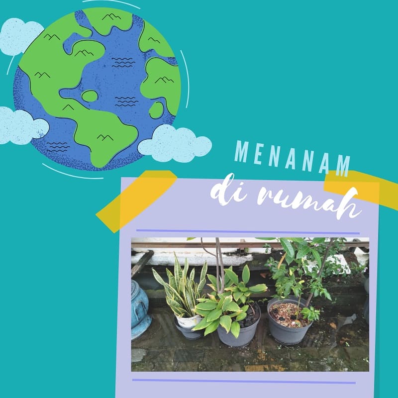 duniaqtoy's tweet photo. Hari Bumi buat aku mah setiap hari ga cuma 21/22 april aja.
Salah satu caranya yaitu nanam di pot. Hasilnya bisa dinikmati dan bermanfaat juga buat lingkungan.
#sembutopia #dirumahaja #earthday #earthday50 #EarthDay2020 https://t.co/LYYHPjVZdF