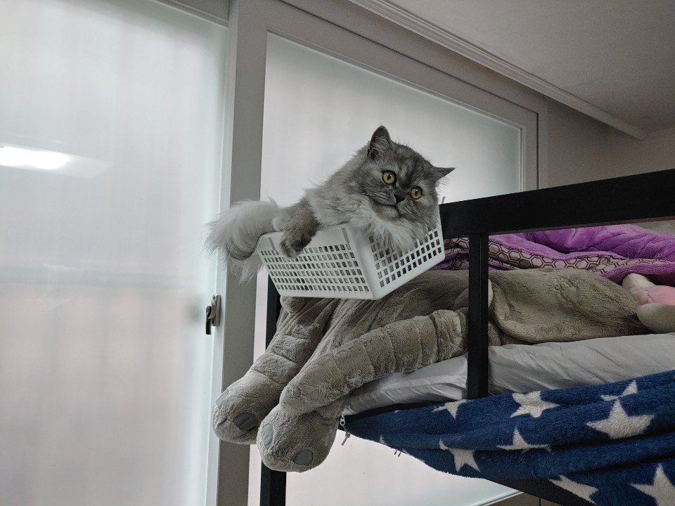 구름아... 바구니 뿌샤지믄 다친다잉