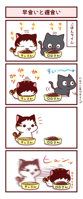 我が家のお猫さま① 