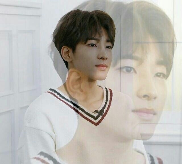 [Seventeen Meme Compilations]; a thread..