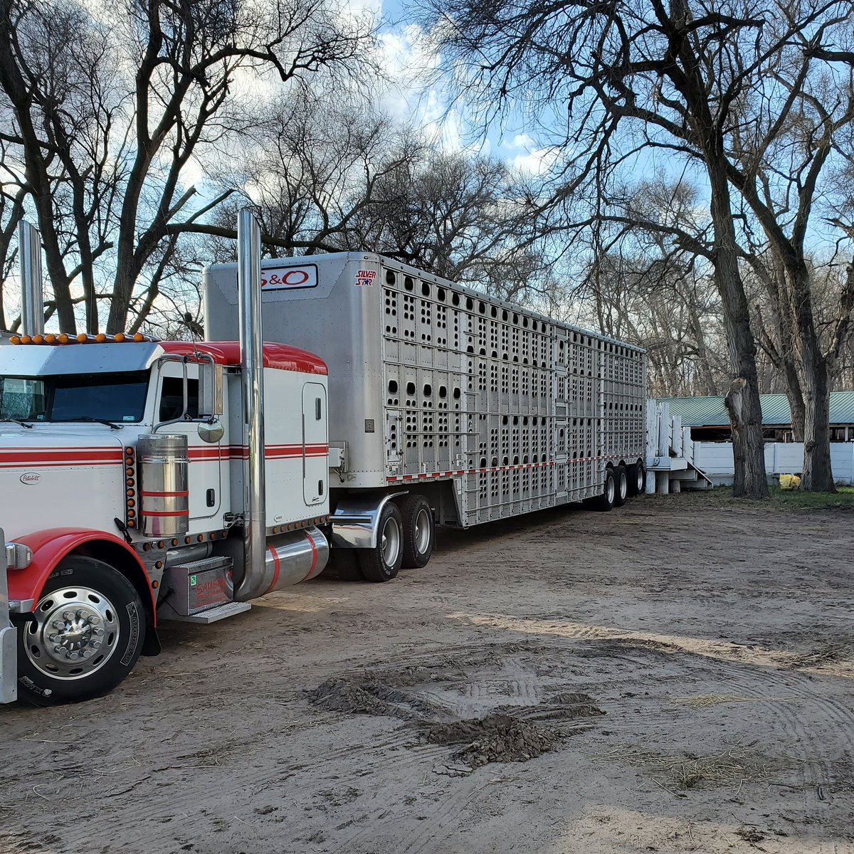 KuhlmannRanch's tweet photo. Shipped heifers to Missouri Sunday night! #GeneticsThatRunDeep #herefordcattle #hereford https://t.co/jt0NsMiEQw