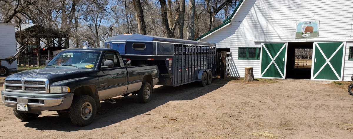 KuhlmannRanch's tweet photo. Bulls loaded and hauled to northwest Iowa! #GeneticsThatRunDeep #herefordcattle #hereford #herefordbull https://t.co/h00GDwdz22