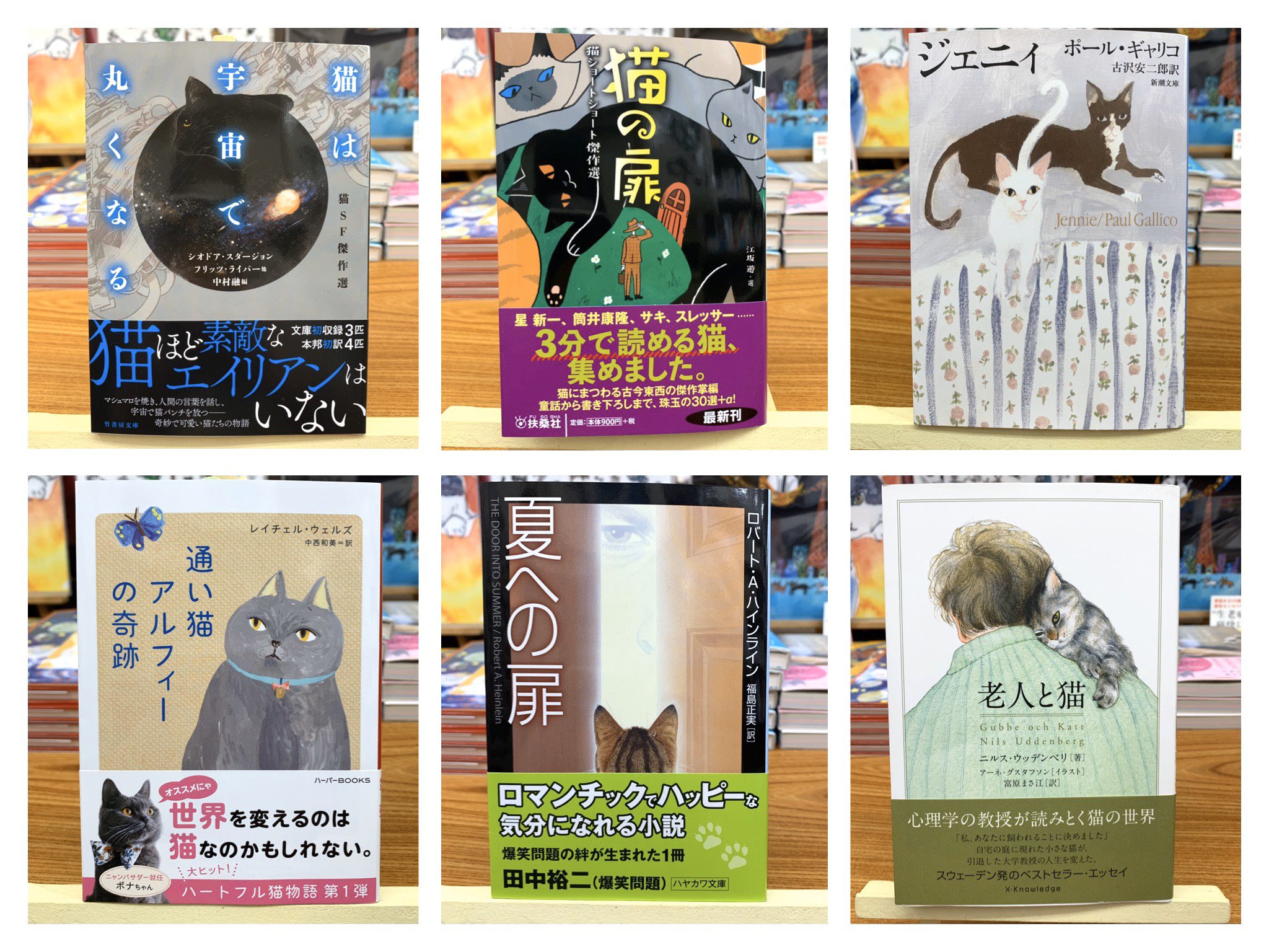 猫の小説 Twitter Search Twitter