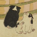 main image of this resource