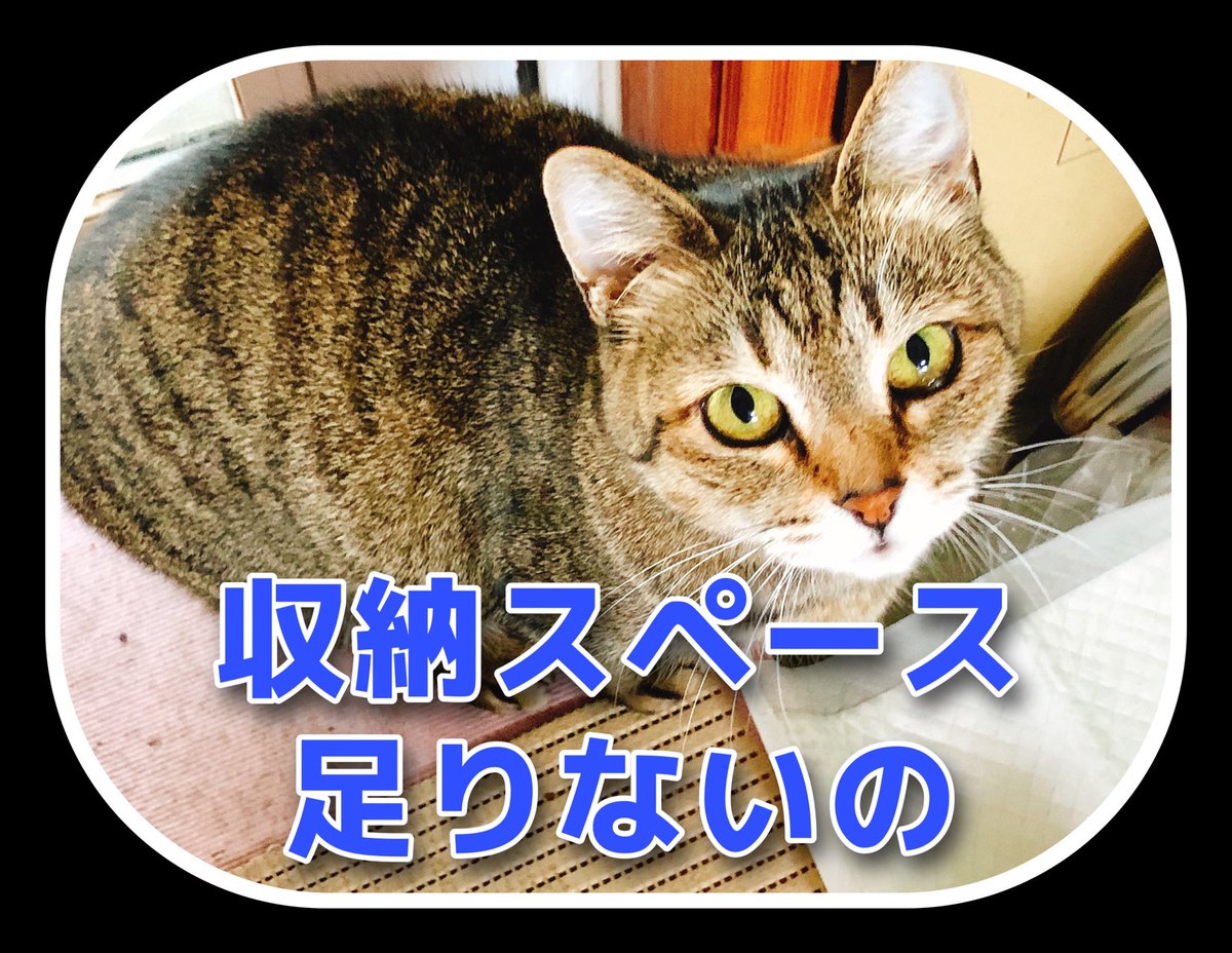 MKtrunk tweet picture