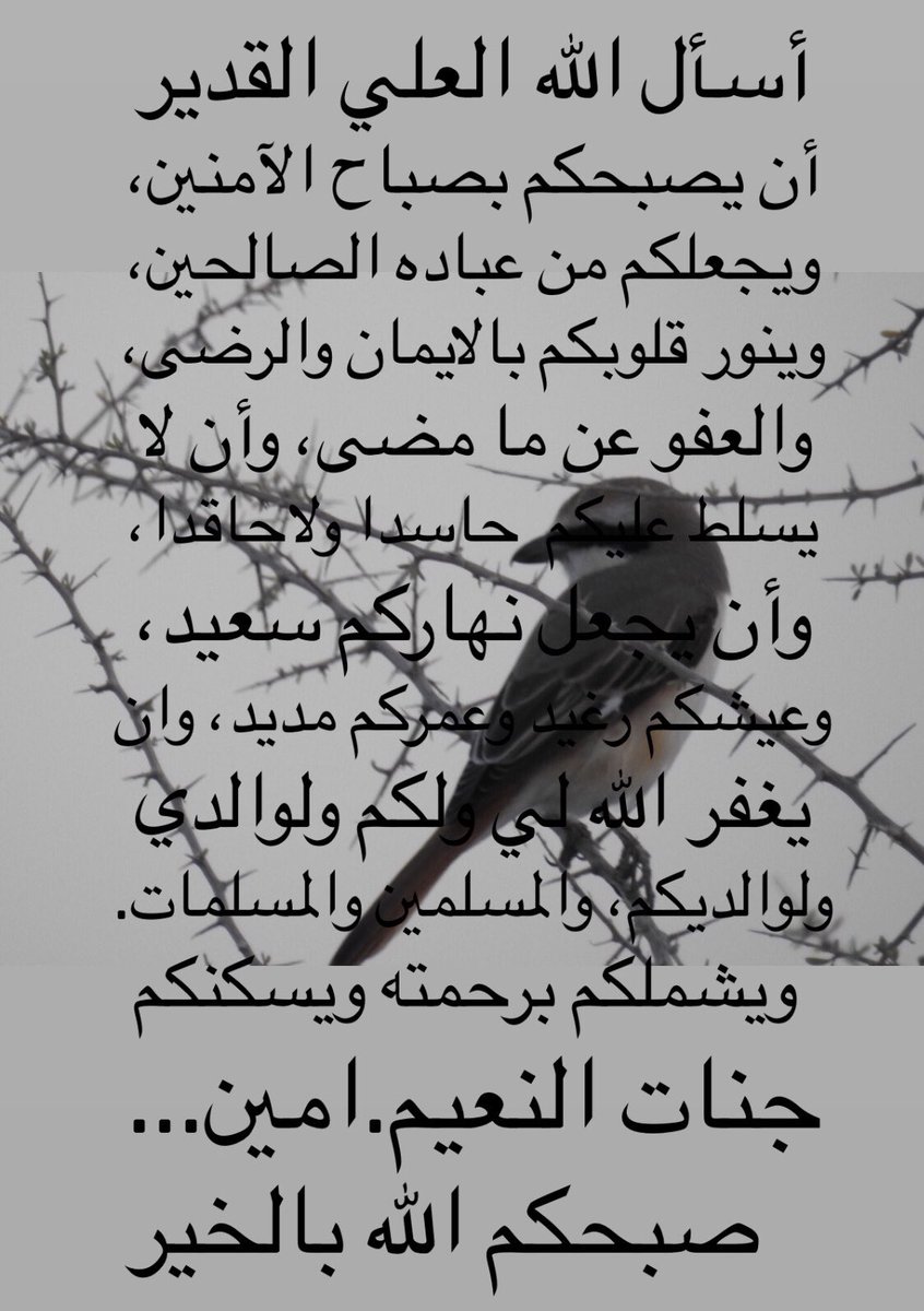 الدواسر عز وكرامة (@blue_esn) on Twitter photo 