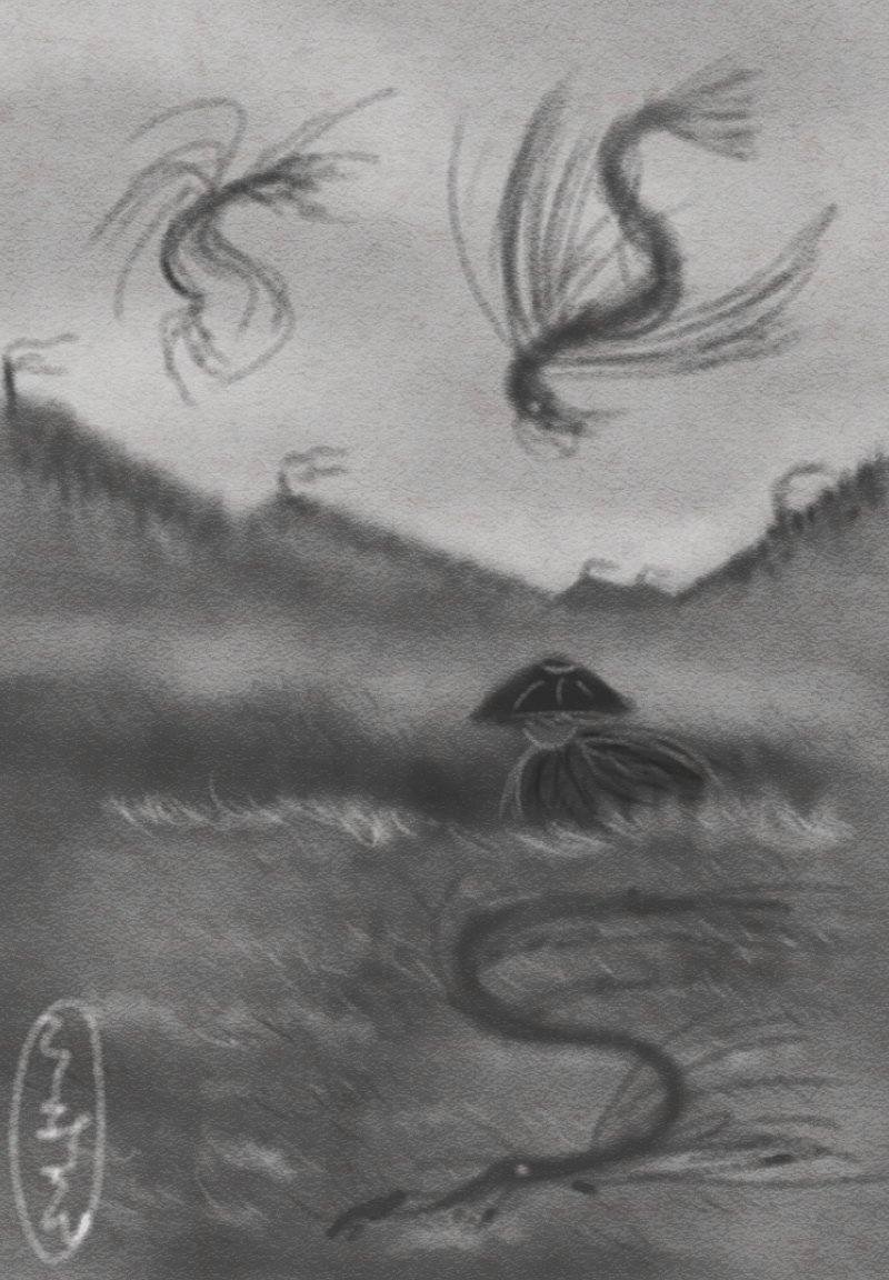 Twoucan ビームウミウシ Umiusibeam Twoucan ビームウミウシ Umiusibeam