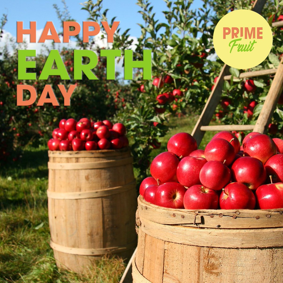 Happy Earth Day!
Enjoy all of the juicy #fruits the #Earth has to offer!

#PrimeFruitUAE  
#DubaiFood #DubaiFoodie 
#MyDubai #Alaweerfruitandvegetablemarket #Talabat
#FruitDelivery #DubaiFruitDelivery #HealthyOffice #HealthyWorkplace #EarthDay #EarthDay2020
