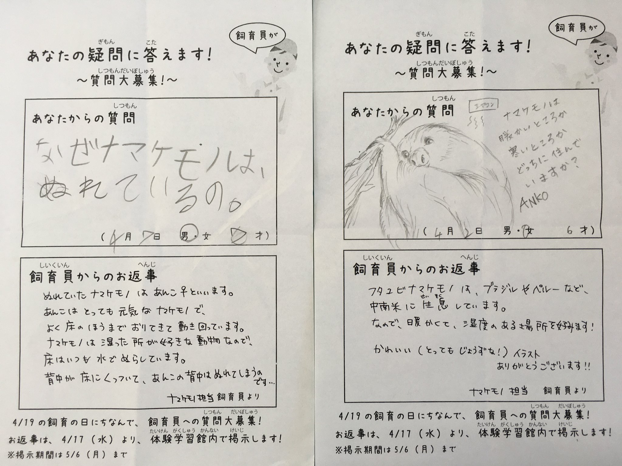 ときわ動物園 公式 Twitterissa 飼育員への質問 ときわ動物園でも人気のナマケモノ 確かになぜいつもアンコだけ背中がぬれているのか 実は私も思っていました フタユビナマケモノ 休園中の動物園水族館 ときわ動物園 公式 Twitterissa 飼育員への質問 ときわ動物園でも人気のナマケモノ 確かになぜいつもアンコだけ背中がぬれているのか 実は私も思っていました フタユビナマケモノ 休園中の動物園水族館