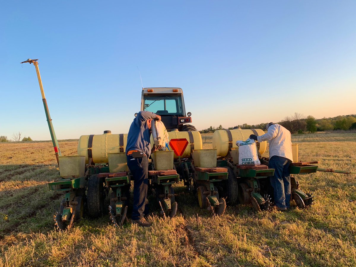 Agronomist_Whit's tweet photo. Wrapped up a great day planting a 20 entry @ChannelSeed 🌽 plot in Bloomfield, KY 💪🏻. Our great plot squad of @pj_milburn, Tate, Michael, and @GregWseedsman got it done again, just as the ☀️ was setting! #StillFarming #plant20 https://t.co/X24RJNLACb