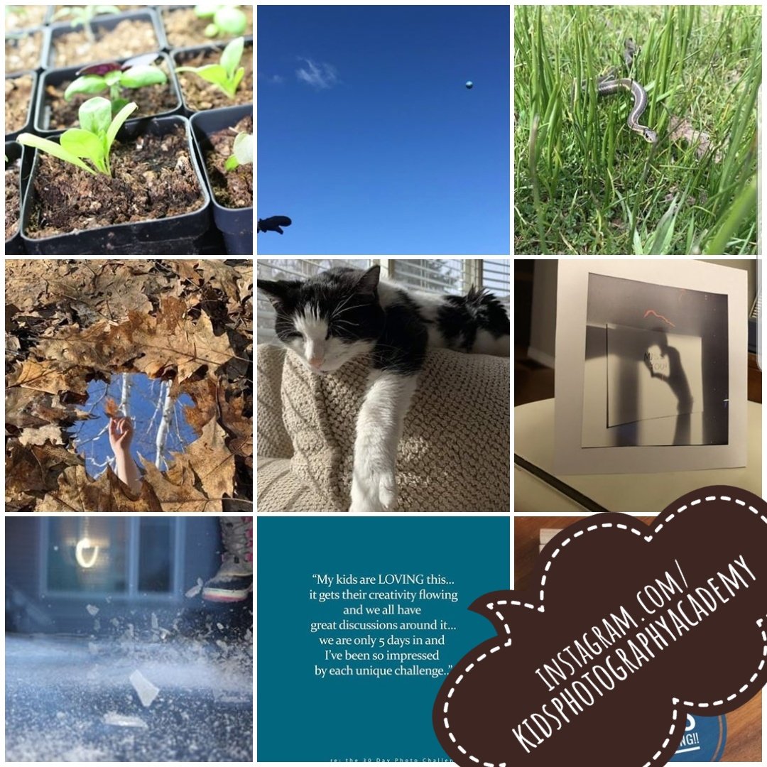 VisualHues's tweet image. Check out what the cool kids of @KPAclick are doing over at instagram.com/kidsphotograph…