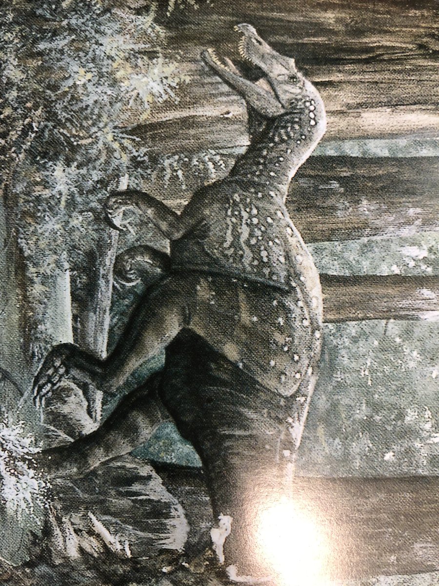Dark Mewtwo 1日4匹恐竜を紹介する バリオニクス 認知度 80 戦闘力 60 全長 8m 時代 白亜紀 生息地 イギリス スピノサウルスの仲間の 完全魚食恐竜 魚の狩りが上手い よく巨大ワニと獲物をうばいあっていたらしい Arkでは スピノよりかは弱いが