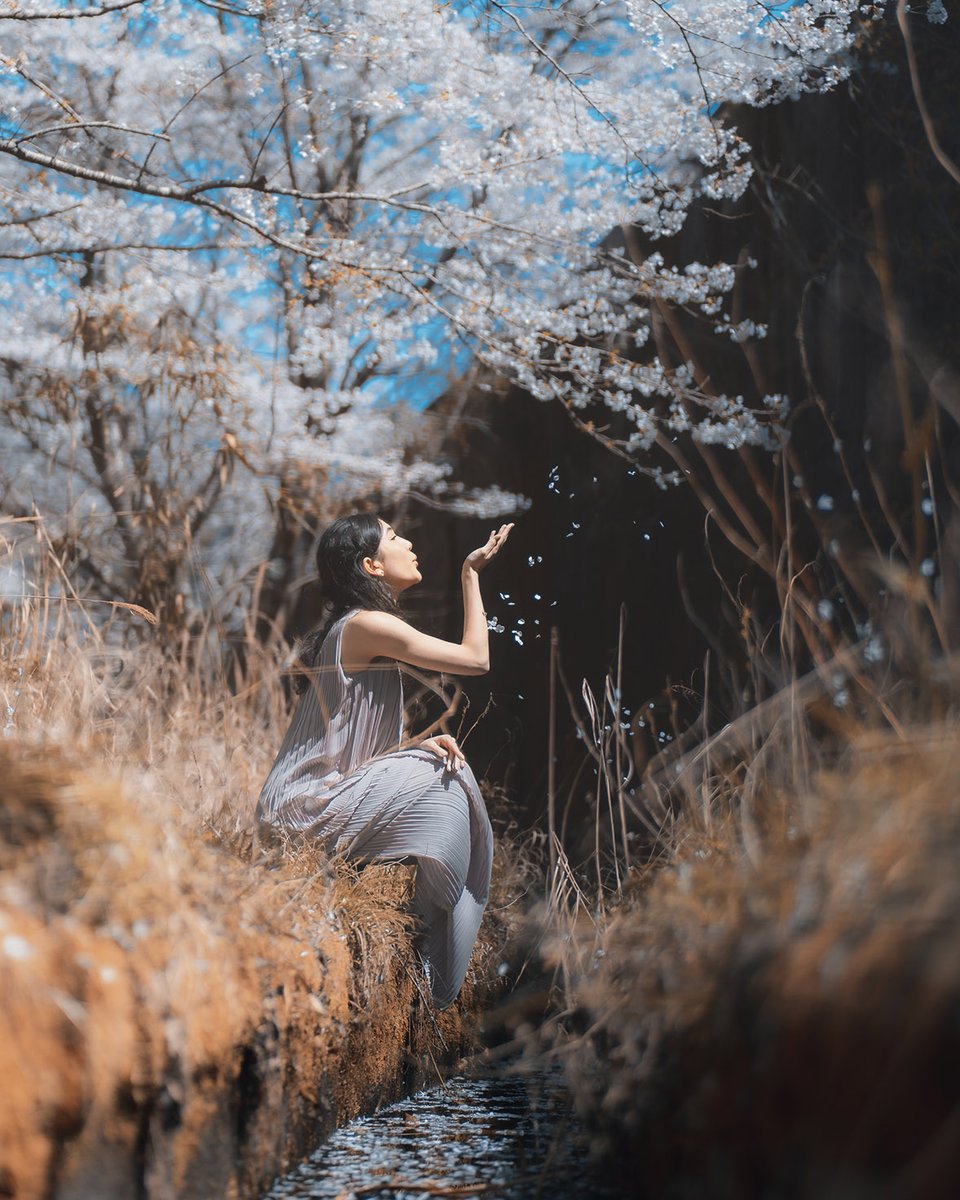GeorgiaRisa's tweet photo. Move with the wind 🌸 (📸 @heypatkay ) https://t.co/DjuEIPc6Rc