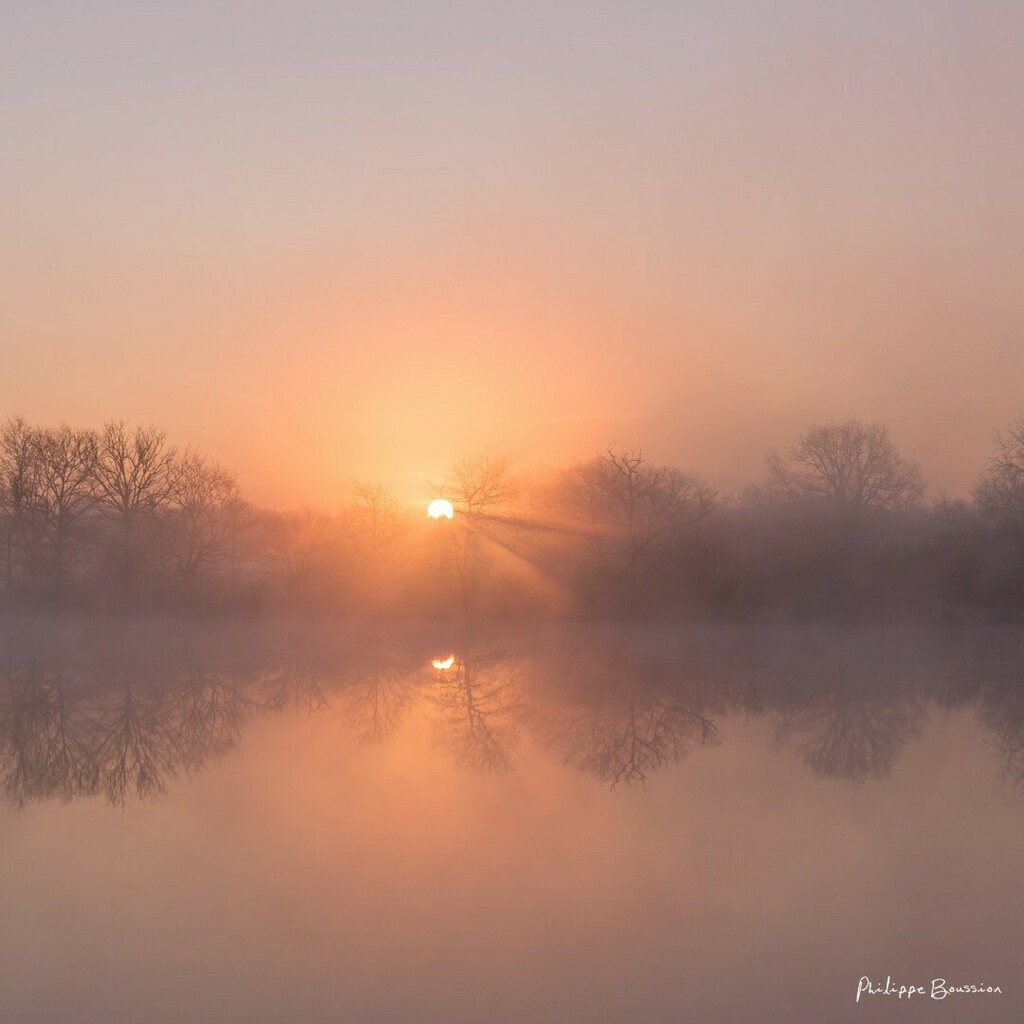 Jett1oeil's tweet photo. Mystique Gâtine...
•
#paysdegatine #deuxsevres #nature 4878
•
#igersdeuxsevres #igersfrance #kodakmoments #canonstories #france4dreams #ig_france #theopenhub #bestfrancepics #happy_life_captures #still_life_nature #natureonly #bpa_nature #transfer_vi… https://t.co/tsf7hXmaCs https://t.co/m9bjlvNQTM