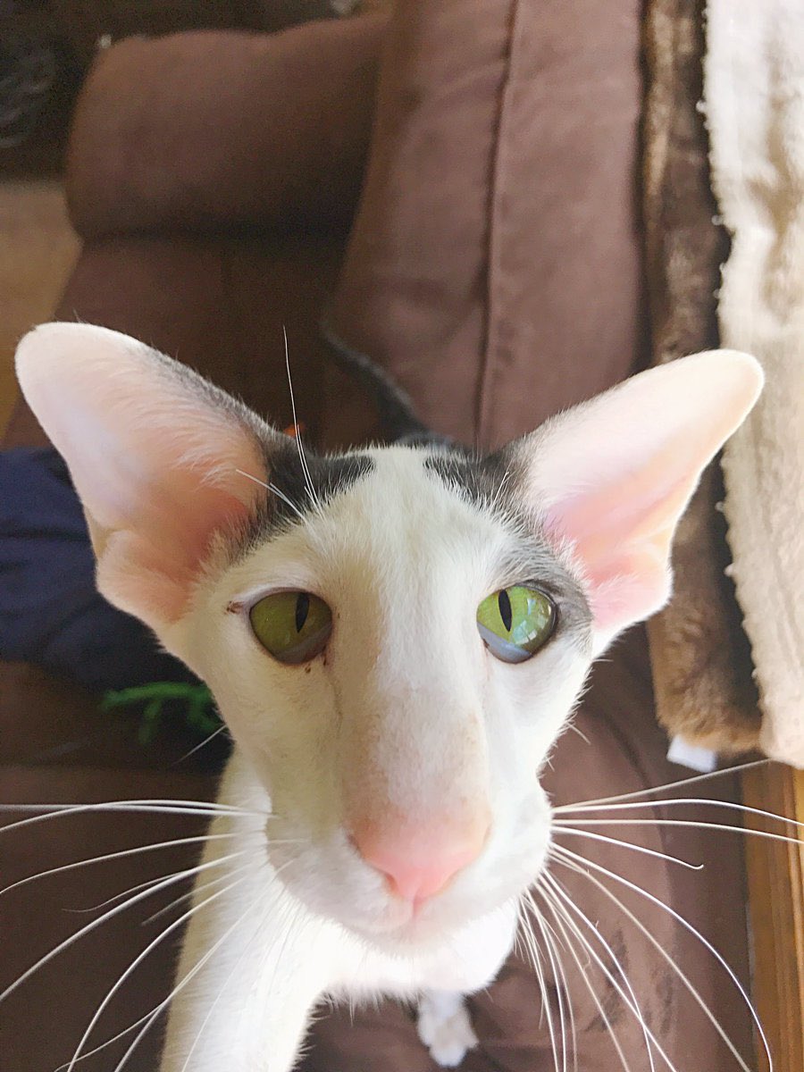 💕
