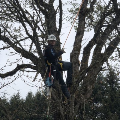HoganTy's tweet photo. #NewProfilePic https://t.co/tyVHVFVJuk