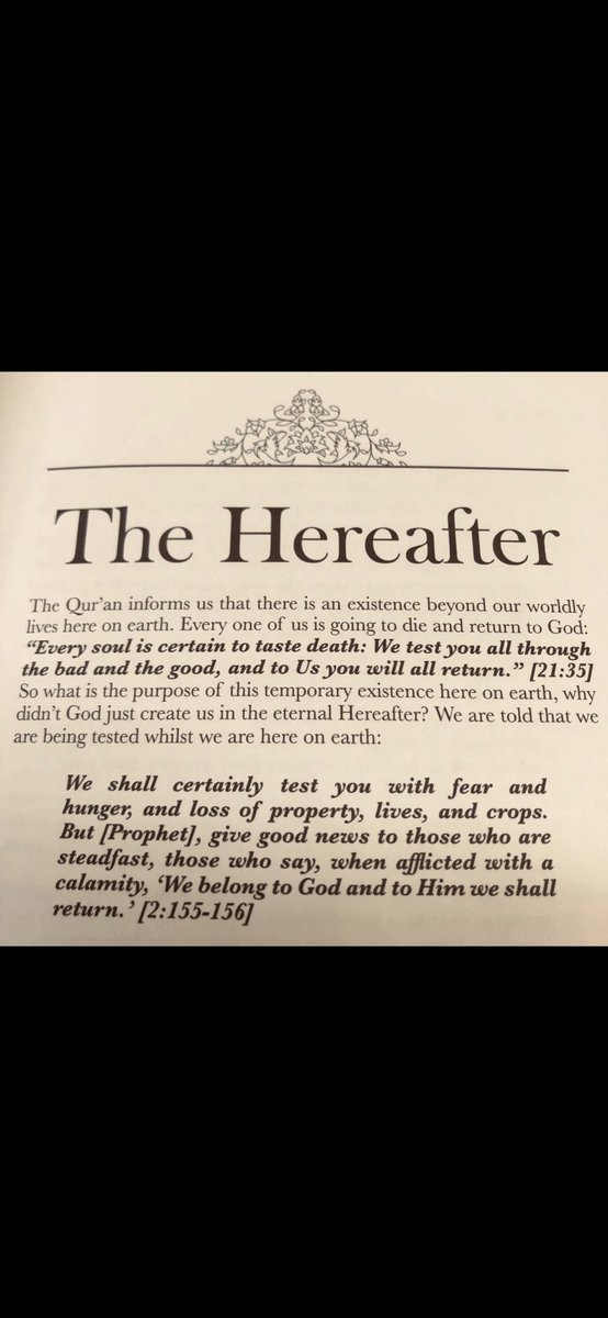 Dr Safeen tweet media