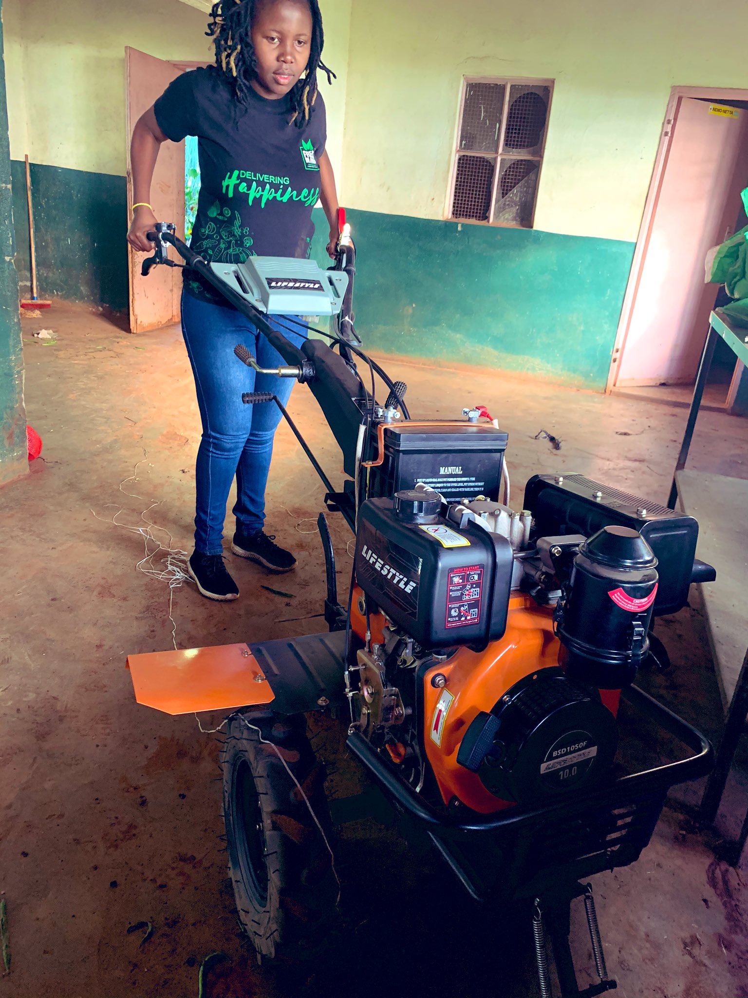 2020 How Much Does Dingo Hire Cost