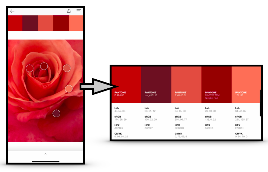tmrhyne's tweet photo. #pantonestudio analysis of the colors of a Rose on #EarthDay2020  #dataviz #infovis #VisualAnalytics #XRiteColor  #IEEEVIS #colourlovers #DurhamCountyLib #siggraph #IEEECGA #Munsellcolor #color #AdobeCreative #Pantone https://t.co/O4yf8O3Eor
