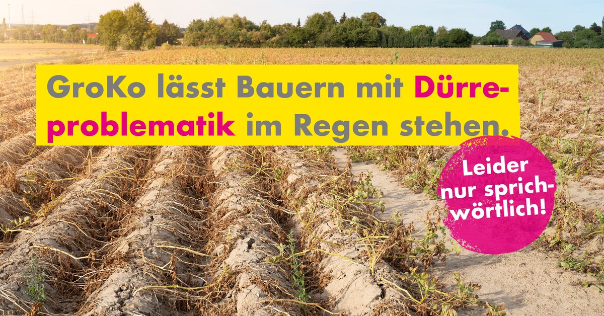 Die #GroKo lässt #Landwirtschaft mit der Dürreproblematik im Regen stehen lassen - leider nur sprichwörtlich. Wir müssen endlich eine steuerfreie Risikorücklage gesetzlich verankern & damit #Bauern in regelmäßigen Abständen von Unsicherheiten befreien. @GeroHocker