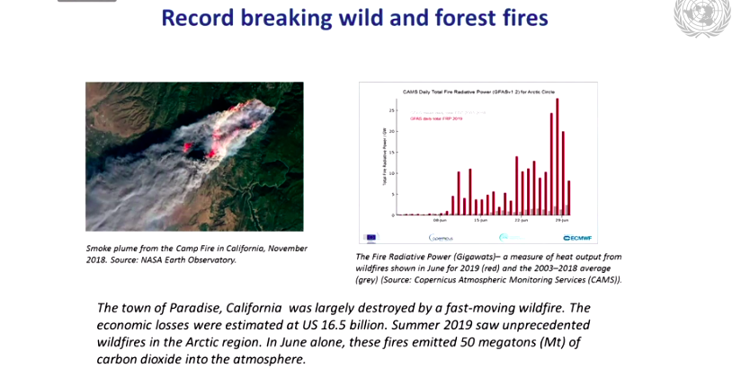 Similarly record breaking wild and forest fires can be linked to drought