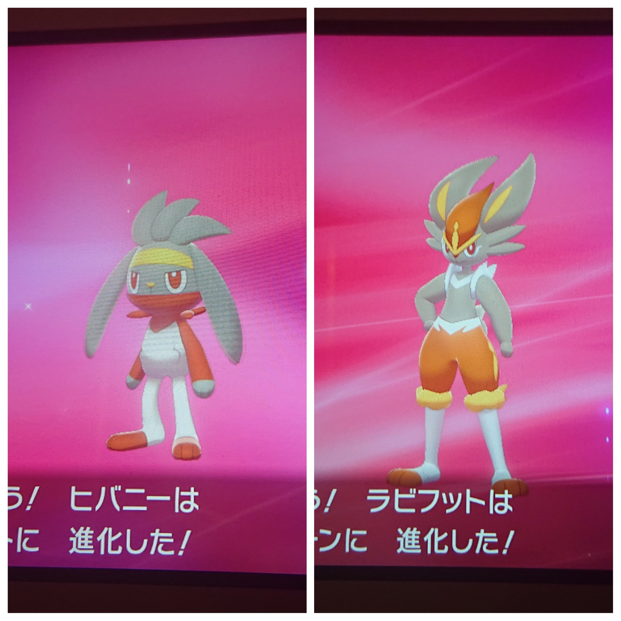 تويتر Boss モネロス على تويتر ポケモン剣盾色違い 孵化厳選一体目 息子のリクエストでヒバニーに挑戦 早めの66匹目で来てくれた チャラいエースバーン完成 フル強化後に息子の端末へ旅立ちました ポケモン ポケモン剣盾 色違い T Co Mhzpr6ol9v
