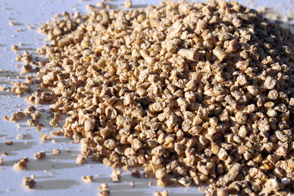 FeedStrategy's tweet photo. There's still time to register for a webinar on April 23. The topic is "Prevent, control #pig diseases with #feed #additives" and it's the first in a three-part series. #FeedStrategy https://t.co/252dnFGWMg https://t.co/Mzk2excx1r