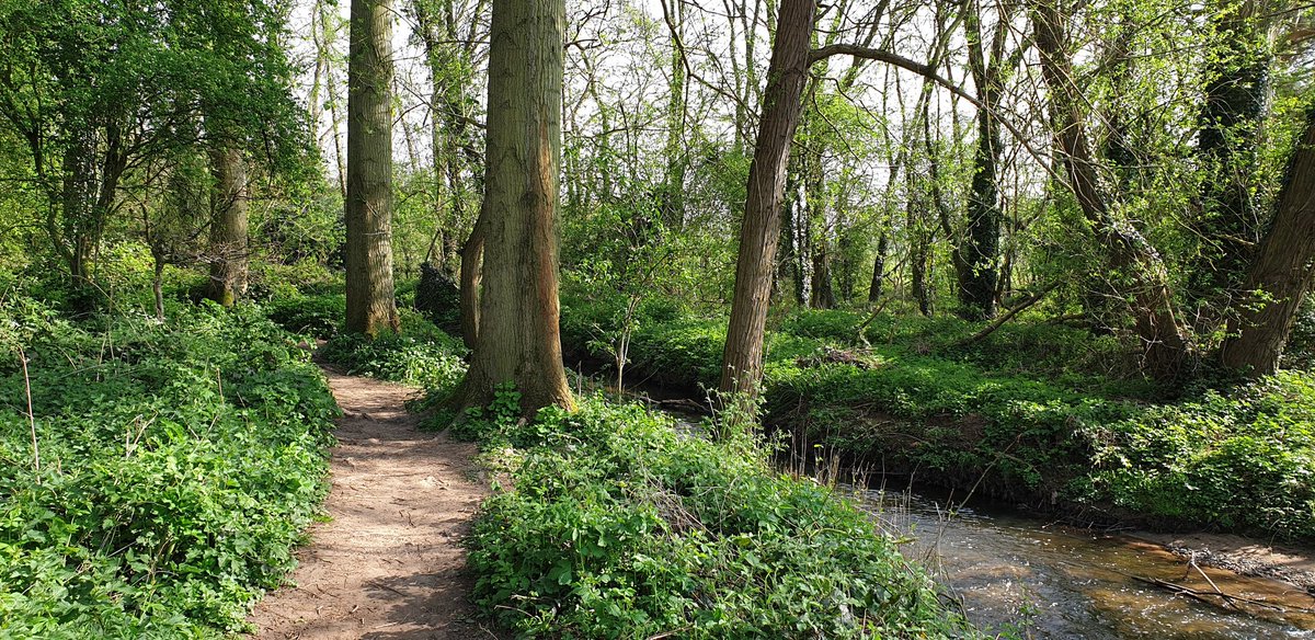 On #EarthDay2020...

Let's come out of this pandemic with the same respect and enjoyment of nature as we've been experiencing throughout it. 🌳
 
Let's not revert back to business as usual. ♻️

Let's tackle climate change with the same urgency as we have Covid19. 🌍